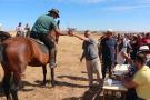 Ferias y Fiestas San Miguel 2016: SÁBADO